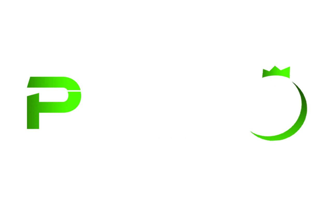 plz666a.com